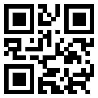 3304394013 - Immagine del Qr Code associato