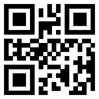 QrCode di 3304394065