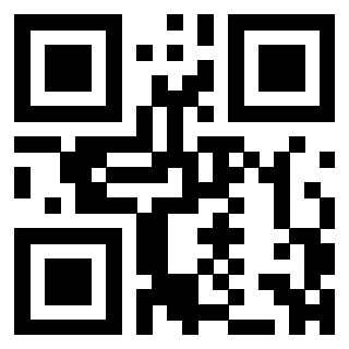 QrCode di 3304394082