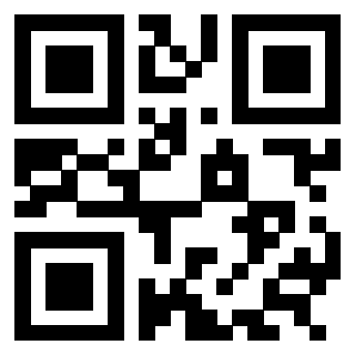 3304420532 QrCode associato
