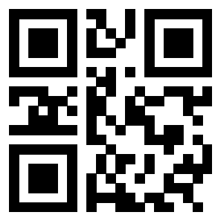 3304473233 - Immagine del QrCode