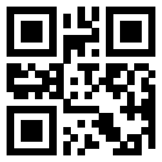 QrCode di 3304473291