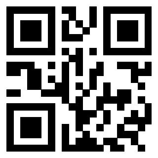 QrCode di 3304473439