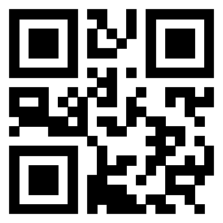 3304521993 - Immagine del QrCode