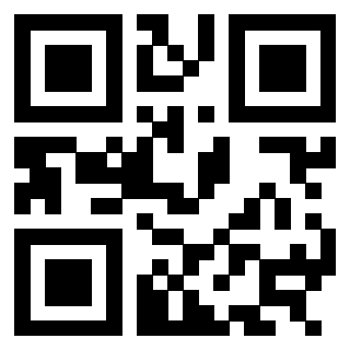 3304539461 - Immagine del QrCode