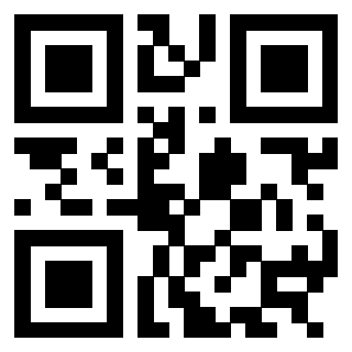 3304539581 - Immagine del QrCode