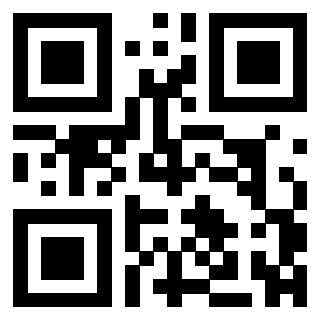 3304539743 - Immagine del QrCode