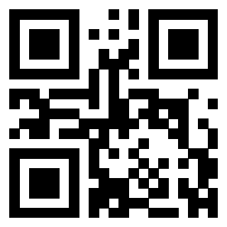 Il Qr Code di 3304539874