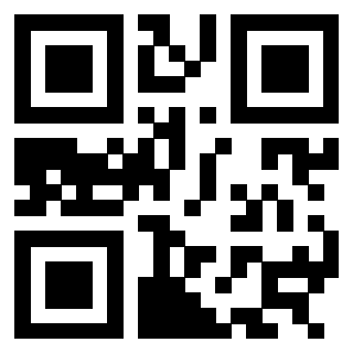 3304539913 - Immagine del QrCode