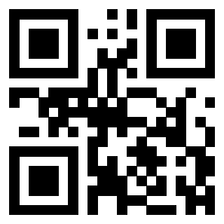 3304540133 - Immagine del QrCode