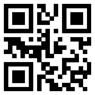 3304540317 - Immagine del QrCode