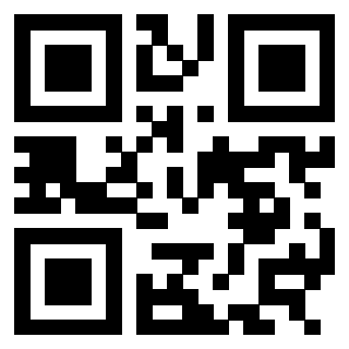 Il Qr Code di 3304589863