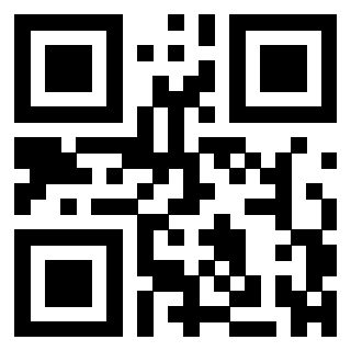 QrCode di 3304590033