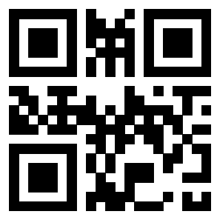 3304590228 - Immagine del QrCode
