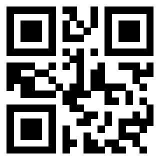 3304590493 - Immagine del Qr Code associato