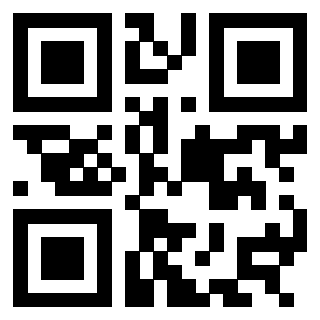 Il Qr Code di 3304593853