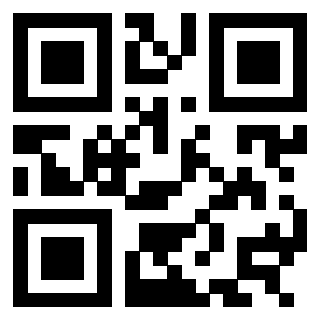 3304593991 - Immagine del QrCode