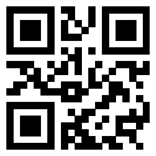 3304594004 - Immagine del QrCode