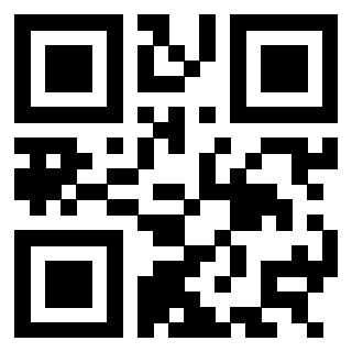 3304594051 - Immagine del QrCode