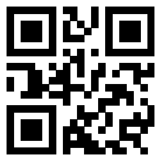 3304594199 - Immagine del QrCode