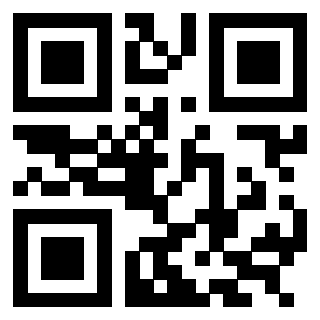 3304653385 Qr Code associato