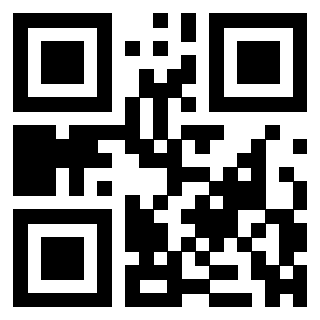 QrCode di 3304653393