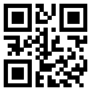 3304653404 - Immagine del QrCode