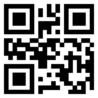 QrCode di 3304653993