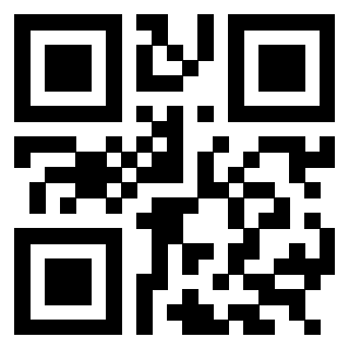 3304654013 - Immagine del Qr Code associato