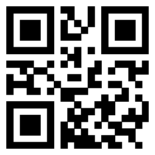 3304654135 Qr Code associato