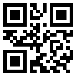 3304654256 QrCode associato
