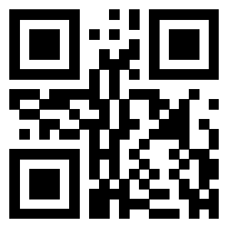 QrCode di 3304668284