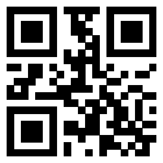 QrCode di 3304668289