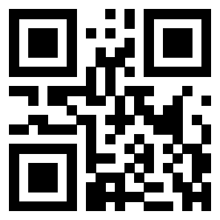 QrCode di 3304668381