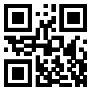 QrCode di 3304668507