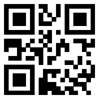 3304668513 - Immagine del QrCode