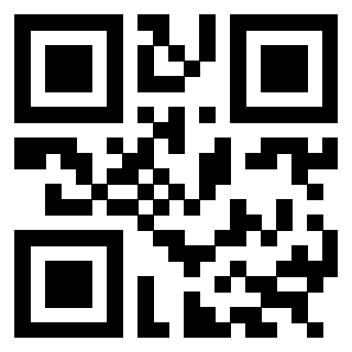 3304668704 - Immagine del QrCode