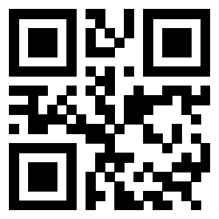 QrCode di 3304668812