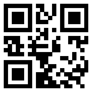 QrCode di 3304668932