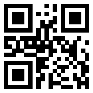 3304702075 - Immagine del QrCode