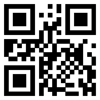 3304702110 - Immagine del QrCode associato