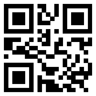 3304702176 - Immagine del QrCode