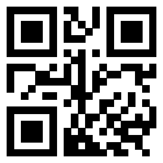 3304702209 - Immagine del QrCode