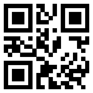 3304702463 - Immagine del QrCode
