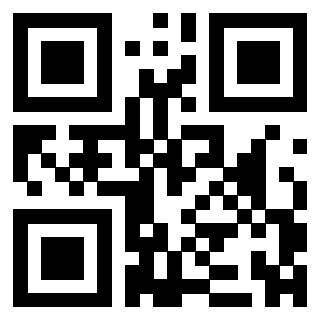 3304702595 - Immagine del QrCode associato
