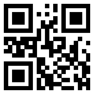 Il Qr Code di 3304712575