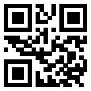 Il Qr Code di 3304712604