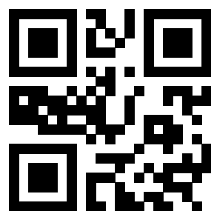 3304772920 - Immagine del QrCode