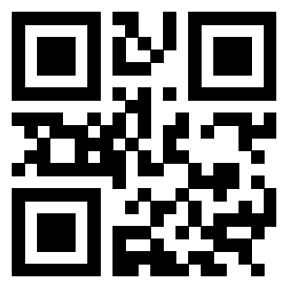 3304773141 - Immagine del QrCode