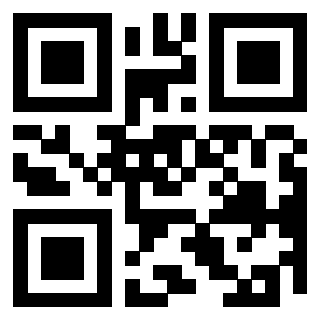 3304775064 - Immagine del QrCode